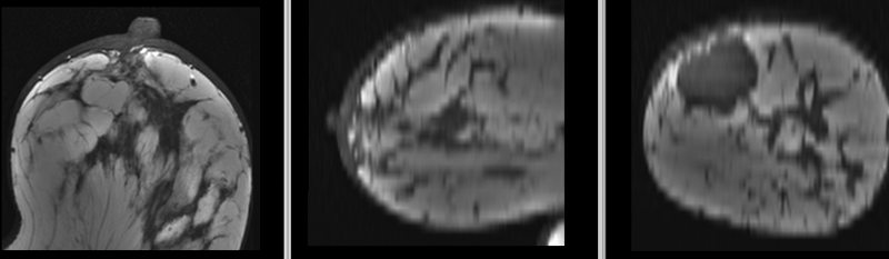 File:RegLib C06b BSpline1.gif