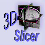 3D Slicer Logo (Slicer2)