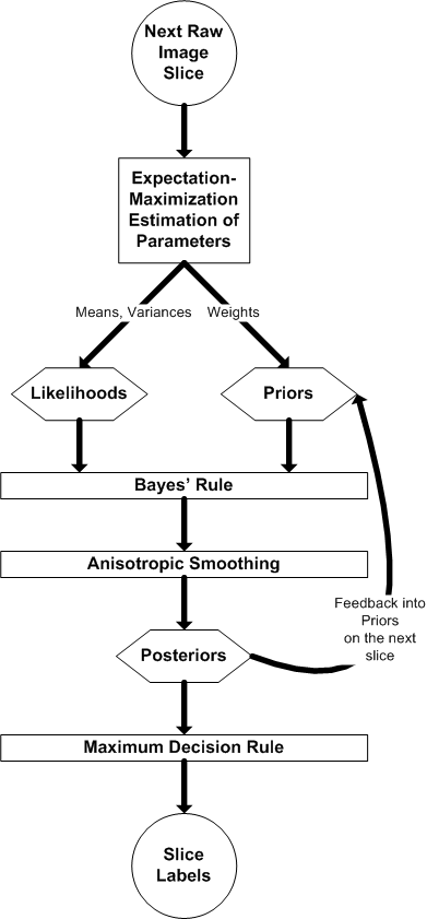 Dynamic Tissue Tracking Algorithm