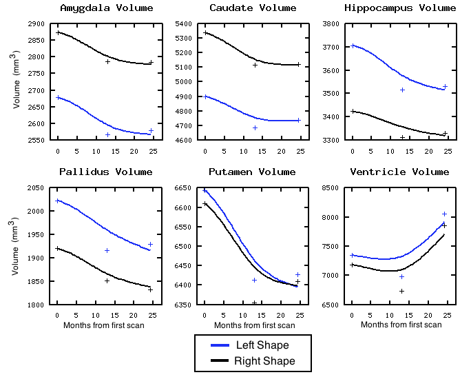 Volume measured after shape regression. Plus signs denote target volume.