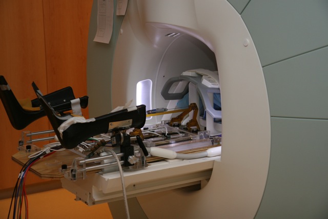 File:MIT2010 BRP.jpg