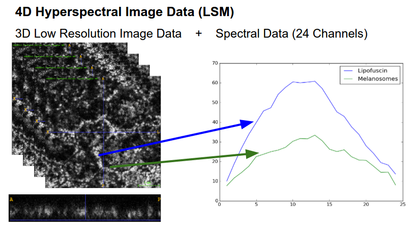 Description of 4D Hyperspectral Data