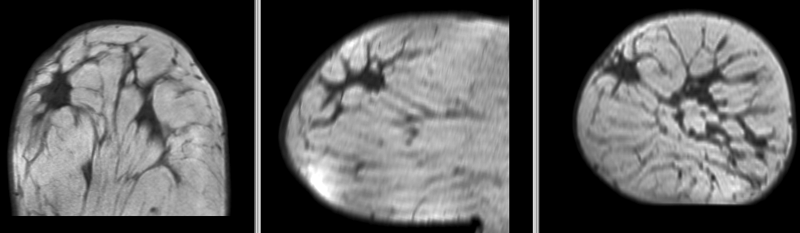 File:RegLib C06b BSpline1 deformation.gif