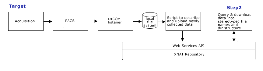 CTSCInformatics GrantPienaarDataManagementStep2.png