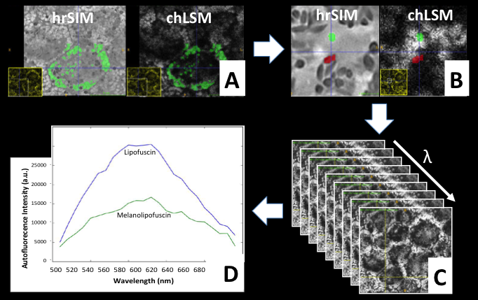 SIM-LSM-granules-for-Wiki.png