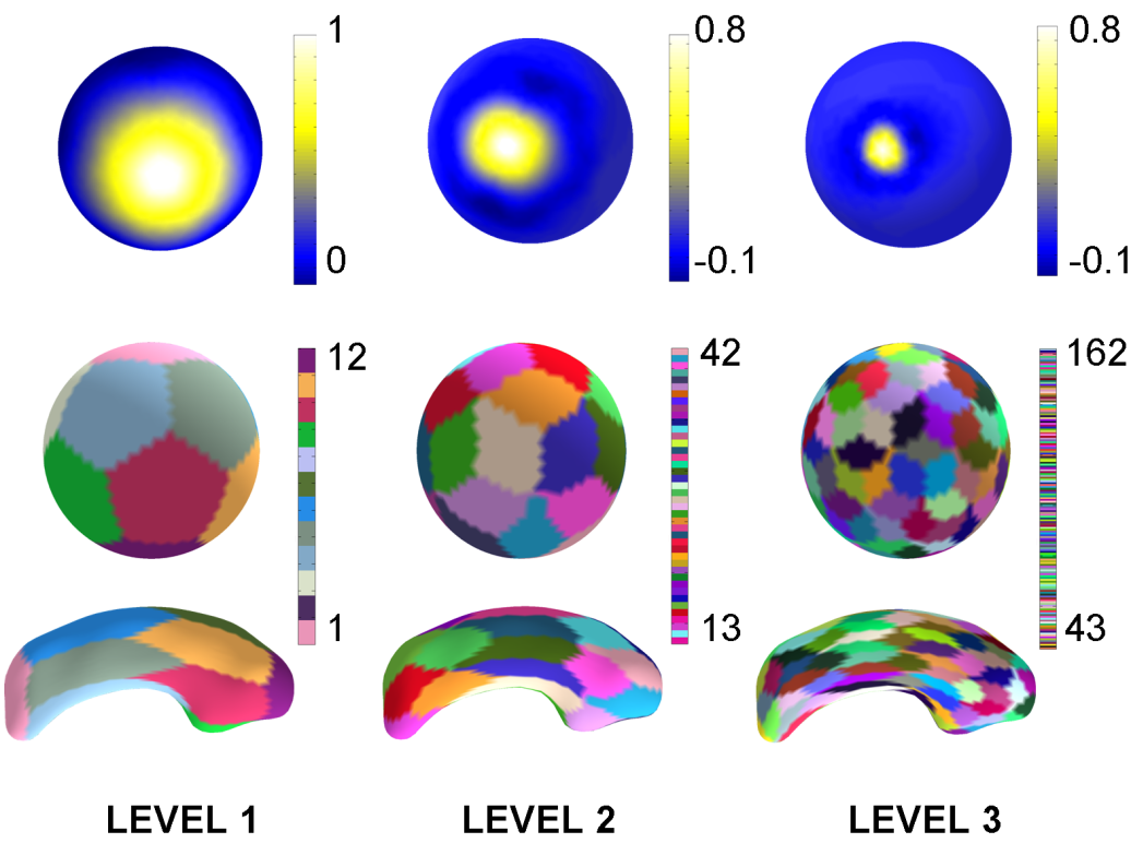 Figure 2: Visualization of spherical wavelet basis functions and associated regions at three levels (columns). Top row : Values of single spherical Wavelet Basis Function shown on the sphere at scales 1 through 3. Middle and Bottom row: Regions of influence of the spherical wavelet basis functions shown on the sphere and on the original surface, each basis function region has a random color.