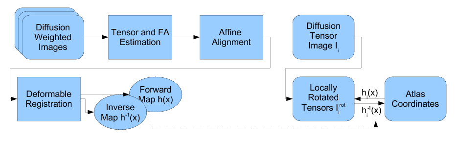 Goodlett dti atlas flowchart.png