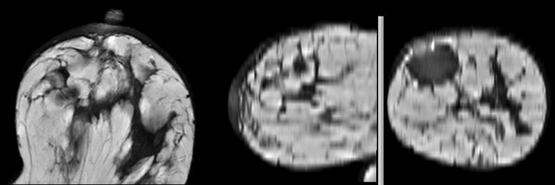 File:RegLib C06b Affine n4h.gif