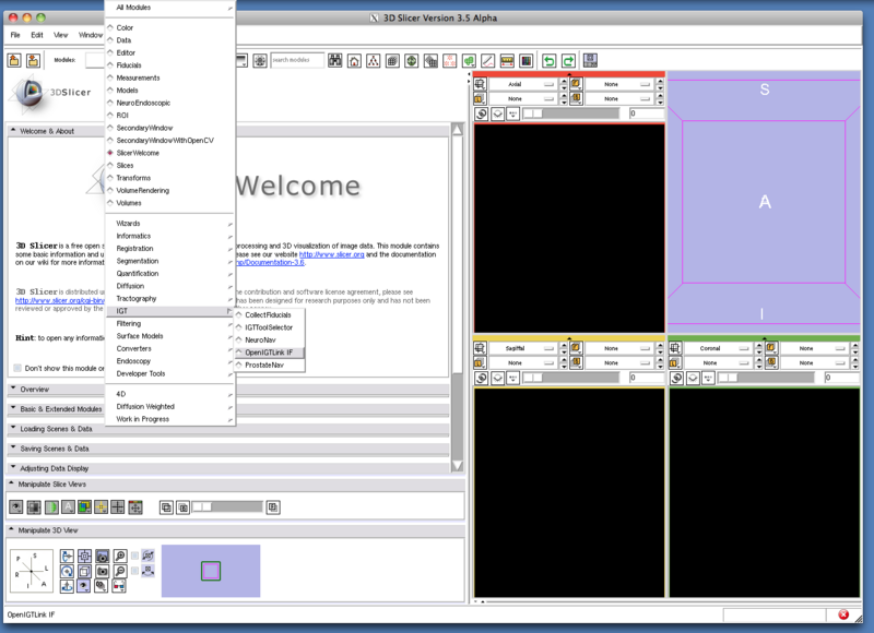 File:TryVersion2 SlicerModuleMenu.png