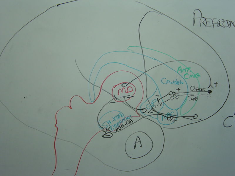 File:Gatech 121705 DSC06153.JPG