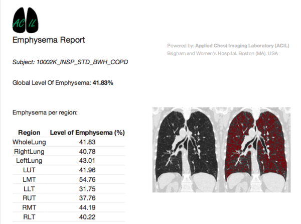 PDFReportForEmphysema.png