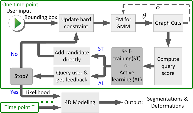 File:Flowchart 4D active cut.png
