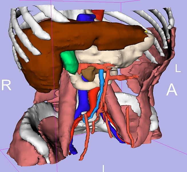 File:Special PubDB Image.jpg