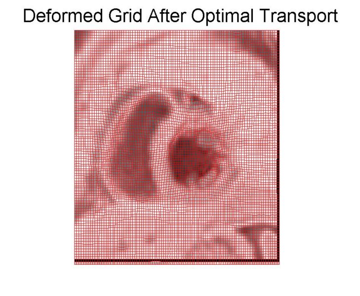 File:Deformed grid.JPG