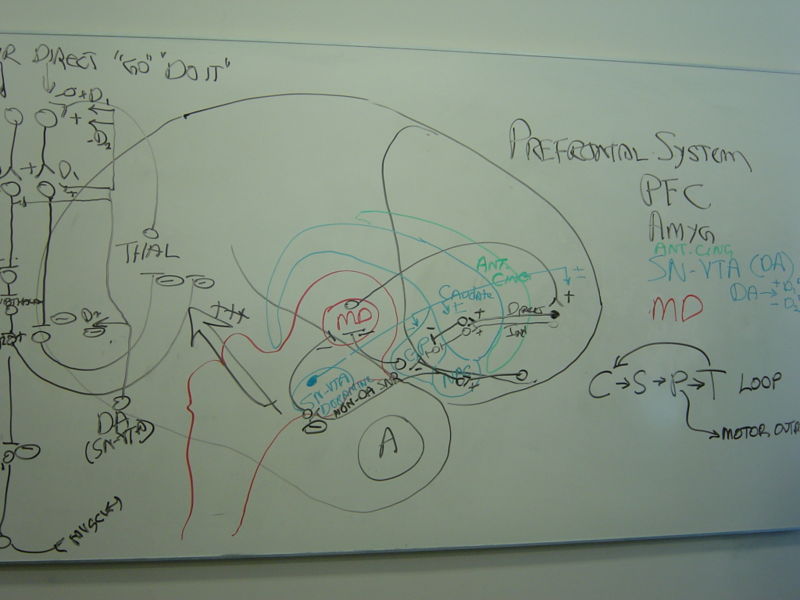 File:Gatech 121705 DSC06162.JPG