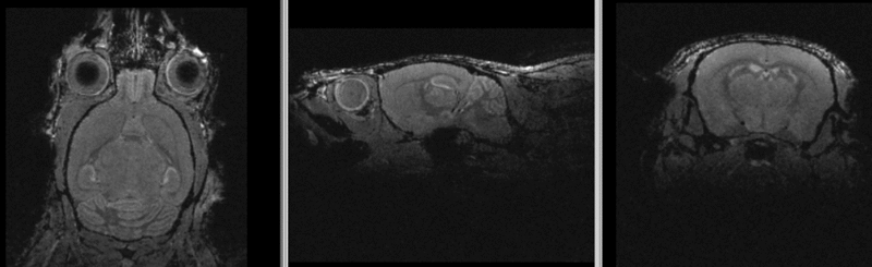 File:RegLib C41 unreg.gif