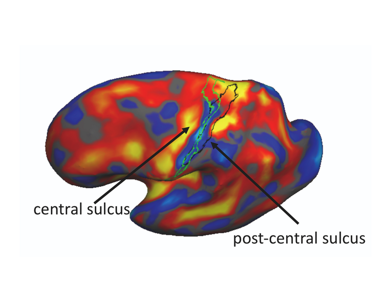 File:BA2 final template.png