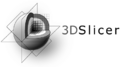 3DSlicerLogo-H-Mono-424x236.png