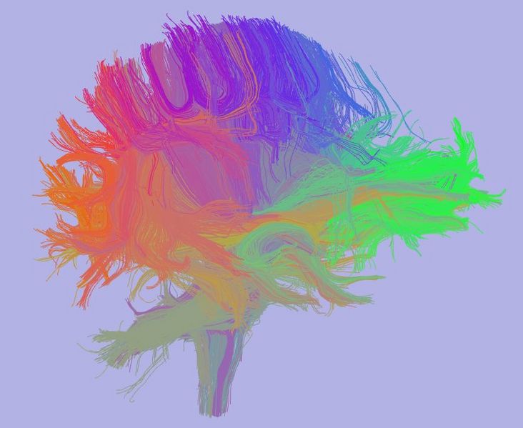 File:Dougt NAMIC1.jpg