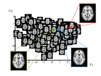 Sgerber brainmanifold oasis manifold.png