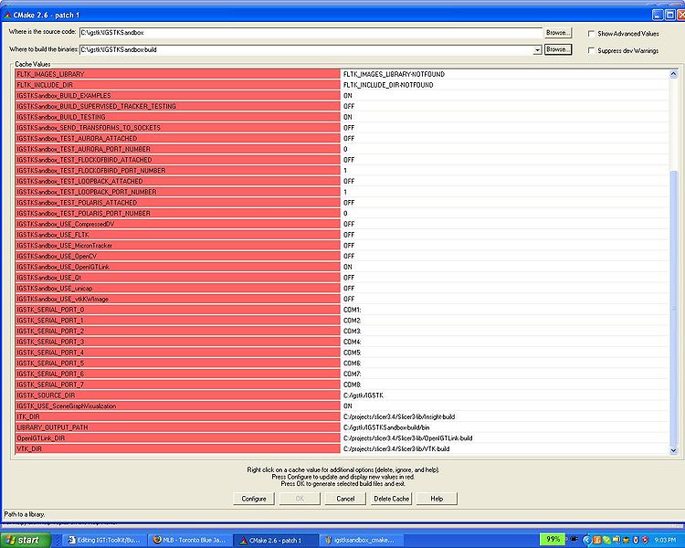 File:Igstksandbox cmake options 2.jpg