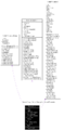 Class parser state coll graph.png