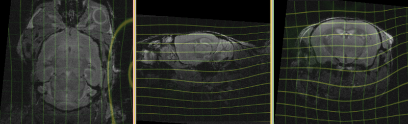 File:RegLib C41 defgrid.png