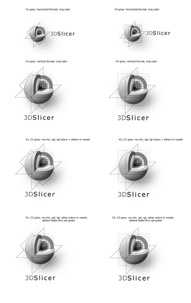 File:Slicer3LogoVariations13Grey.png