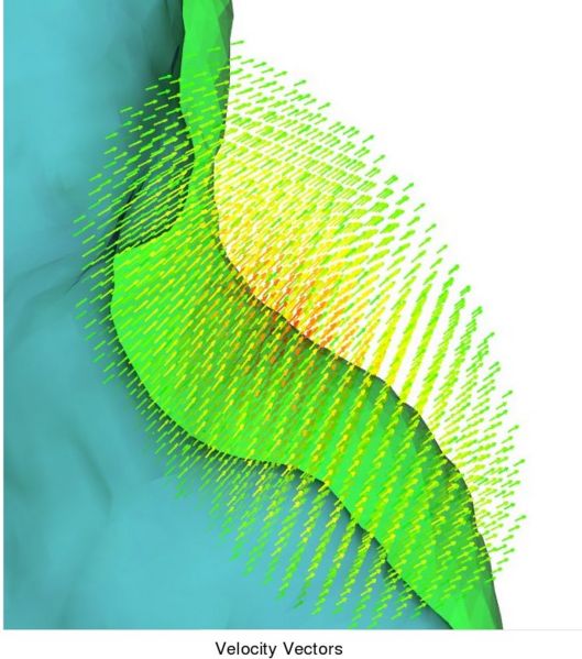 File:Zoom velocity.jpg