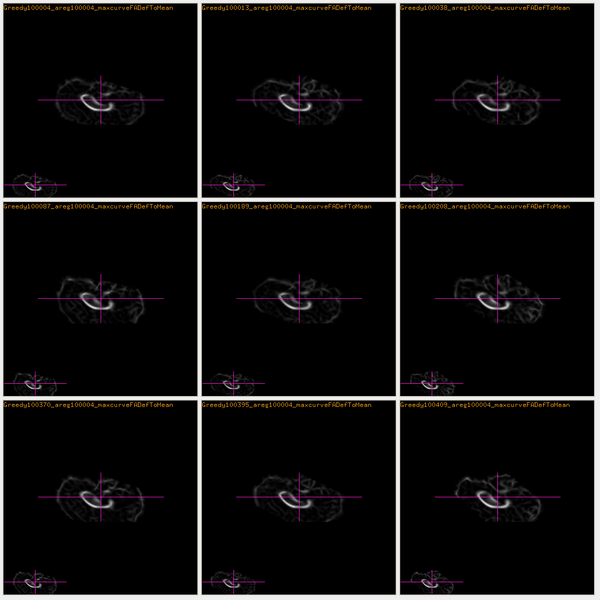 File:MaxcurveFA AtlasWerksregistered.jpg