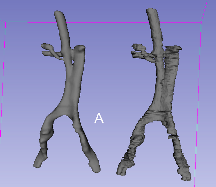 File:Vessels-Poisson and Vessels-ModelMaker.png