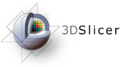 3DSlicerLogo-HColor-424x236.png