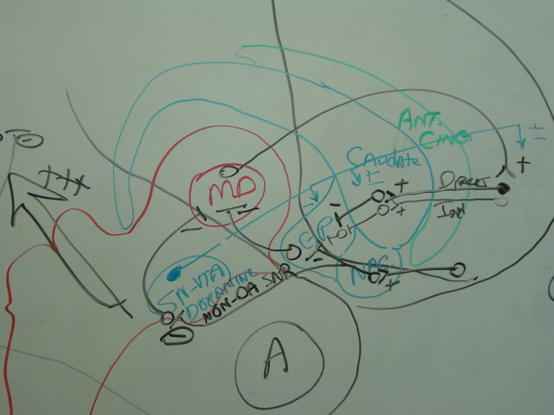 File:Gatech 121705 DSC06163.JPG