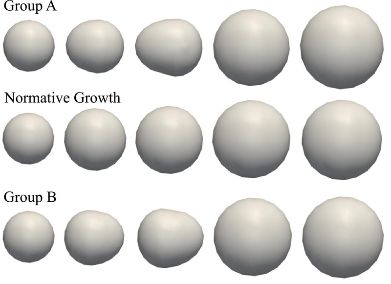 File:Synth example database medium.png