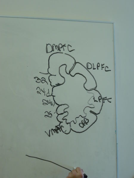 File:Gatech 121705 DSC06175.JPG