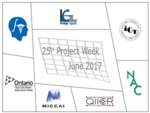 NAMIC 25th Project Week