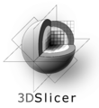 3DSlicerLogo-V-Mono-2300x2502.png