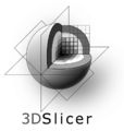 3DSlicerLogo-V-Mono-794x834.png