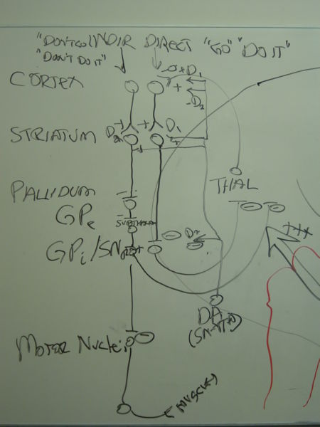 File:Gatech 121705 DSC06161.JPG