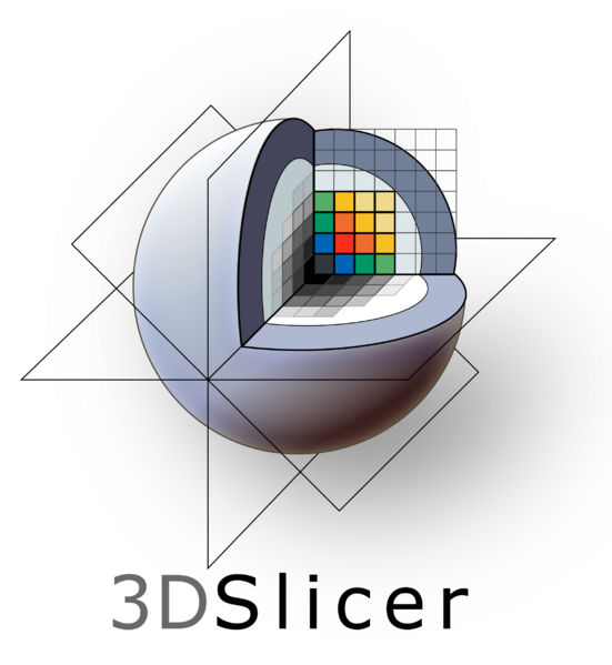 File:3DSlicerLogo-V-Color-2300x2502.png