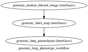 Parenchyma workflow graph.dot.png