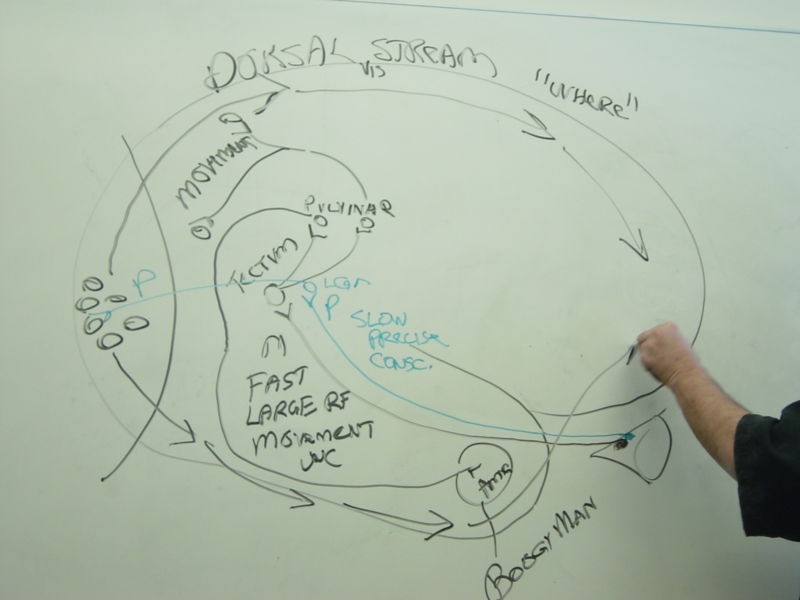 File:Gatech 121705 DSC06171.JPG