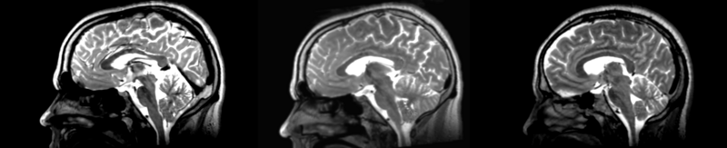 File:53-31 linear.png