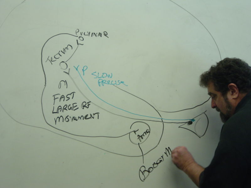 File:Gatech 121705 DSC06169.JPG