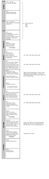 File:RSNACTSAWorkshopStoryboard.png