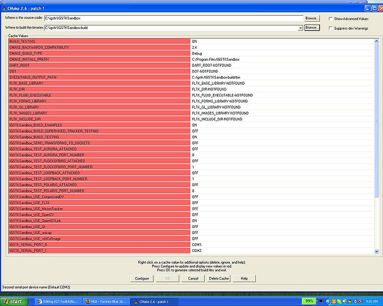 File:Igstksandbox cmake options 1.jpg
