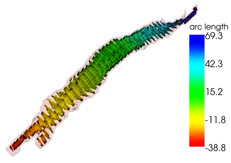 File:Cingulum reseeded withtrajectories.png