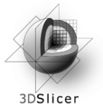 3DSlicerLogo-V-Mono-392x412.png