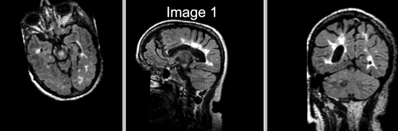 File:RegLib C16 NoReg.gif