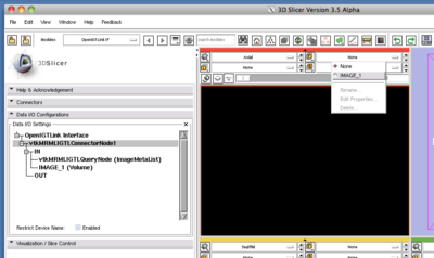 TryVersion2 SlicerGetImage.png